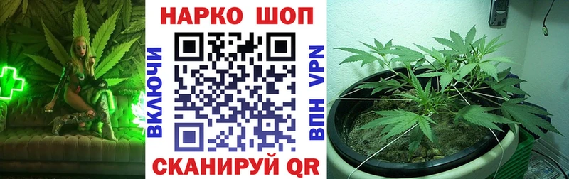 Купить закладку Псилоцибиновые грибы  Меф  ГАШИШ  МАРИХУАНА  МЕТАДОН  Cocaine  Бахчисарай