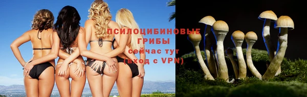2c-b Киренск