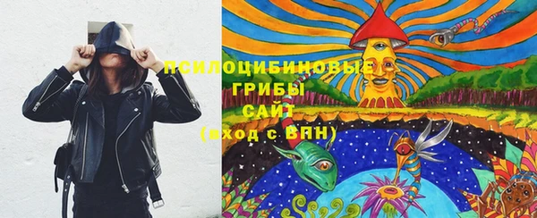 СК Кинешма