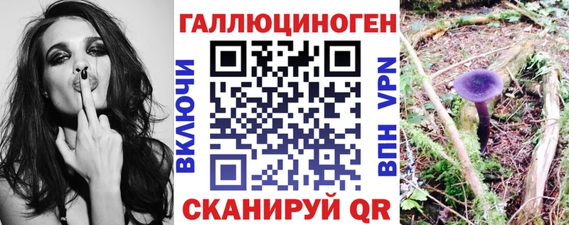 Галлюциногенные грибы мицелий  Купить закладки  Бахчисарай 